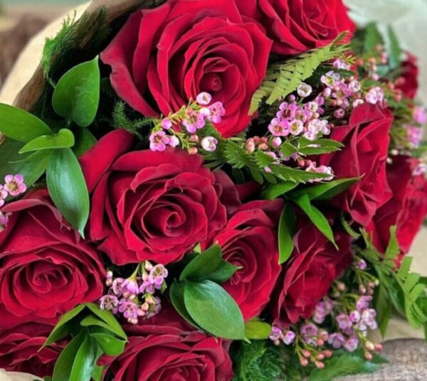 Love Bold is premium long-stem red roses and greens wrapped